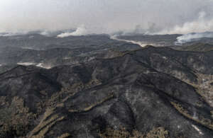 Wildfire damage in Korea(2)