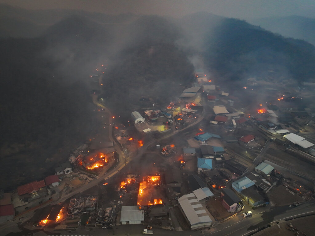 Emergency Support for Wildfire Victims, Korea