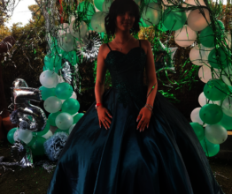 A Princess dream