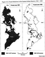 Change in forest cover 1961-1992, Maleku Reserve