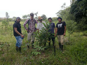 Progress of trees planted June 2011, Rio Sol