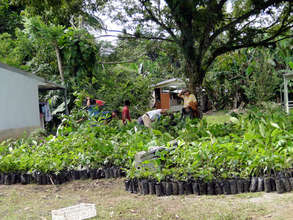 Rio Sol nursery next to the old Rancho Bienvenido