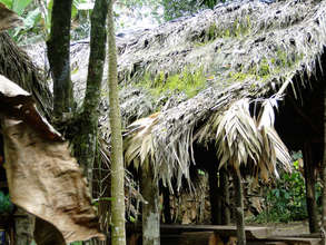 A traditional Maleku palm roof made of suite