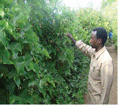 Climate Change Education and Awareness Raising