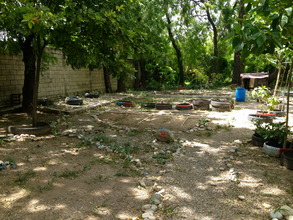 apprentice program garden: planted & ready to grow