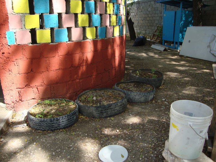 Tire Gardens