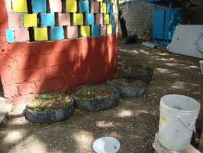 Tire Gardens