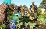 Radios to Boost Literacy for Women in Mozambique