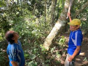 Community members take care of the Garden.