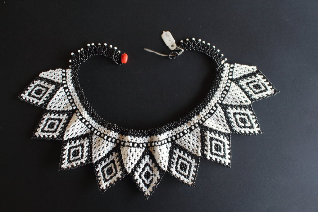 Help Monte Carmelo conserve Indigenous knowledge