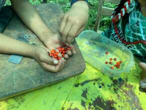 Seeds of local palm tree, used to make artwork.