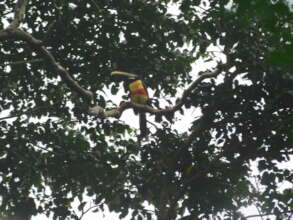 The area is home to a large variety of birds.