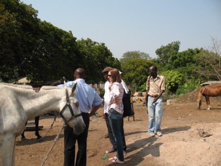 Improve care of Ghana's abandoned & abused horses