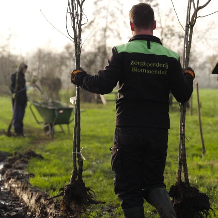 Food forestry: truely valuable