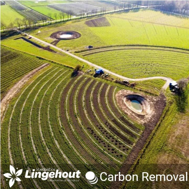 Food forestry: truely valuable