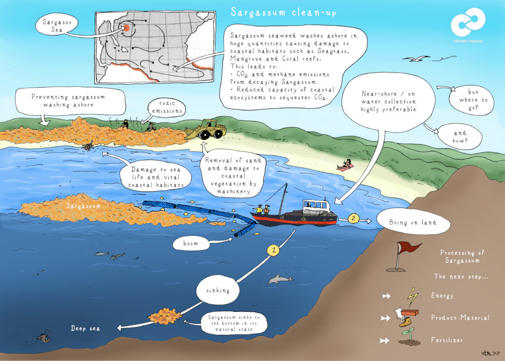 Sargassum Sinking Innovation