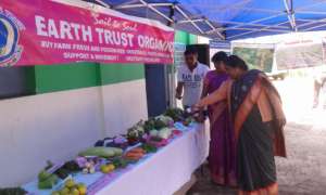 Display of the Earth Trust Organic Vegetables