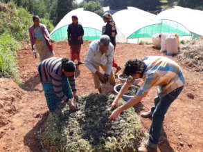 Preparation of compost pile (Holabettu)