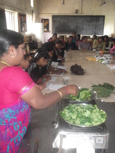 Adathoda Fresh Leaf