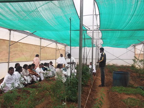 Setting Up a Green House