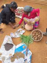 Harvesting horn manure and seeds from our BD farm