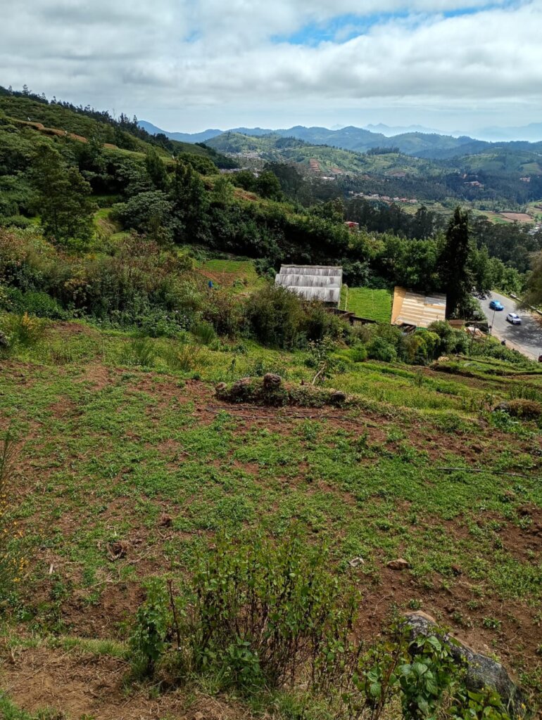 Holabettu Our Resource Farm