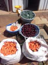 Vegetables radiating health from the ET  Farm