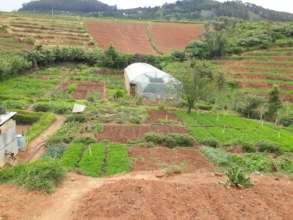 ET's Biodynamic Farm