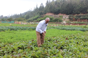 Megaraj Ayya in love with his organic farm