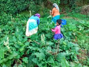 Bonding with Bhooma Devi-mother Earth
