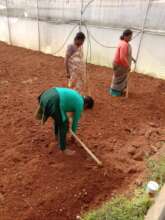 Our poly-houses getting ready for sowing