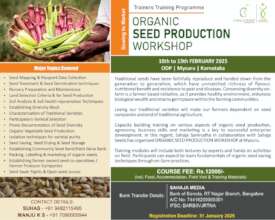 Seed Saving by Sahaja