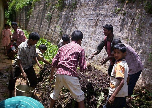 RID POVERTY & HUNGER IN 50 INDIAN TRIBAL VILLAGES