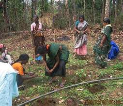 Herbal Resource Nursery for Forest regeneration