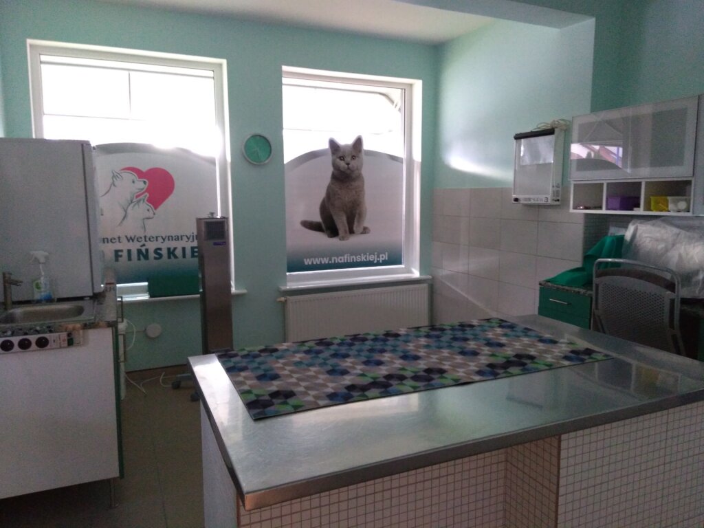 A Safe Home and Justice for Animals in Poland