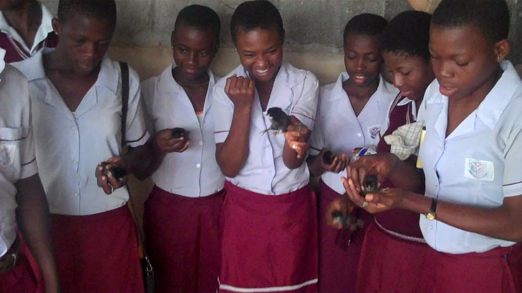 Train 2000 girls in agricultural skills in Imo