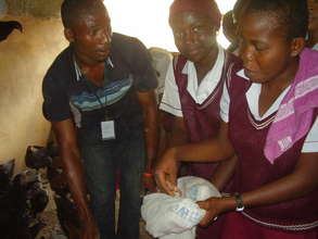Students feed livestock