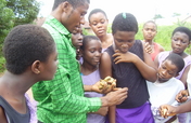 Train 2000 girls in agricultural skills in Imo  