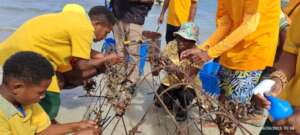 Students setting up A frame nursery