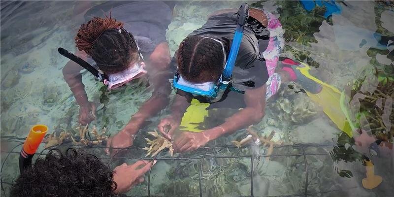 Rebuilding reefs and livelihoods in PNG