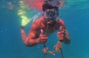 Rebuilding reefs and livelihoods in PNG