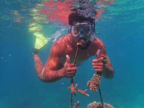 Rebuilding reefs and livelihoods in PNG