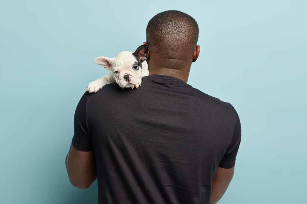 Rescue Dogs and Cats from the Meat Trade (Nigeria)