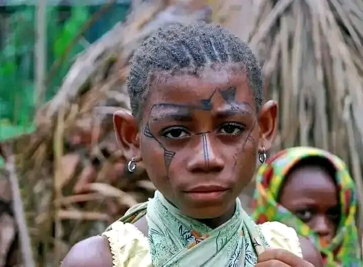 Defend Indigenous Pygmy Rights in DR Congo