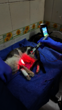 Help Us Bring the K-Laser to Karma Hospital