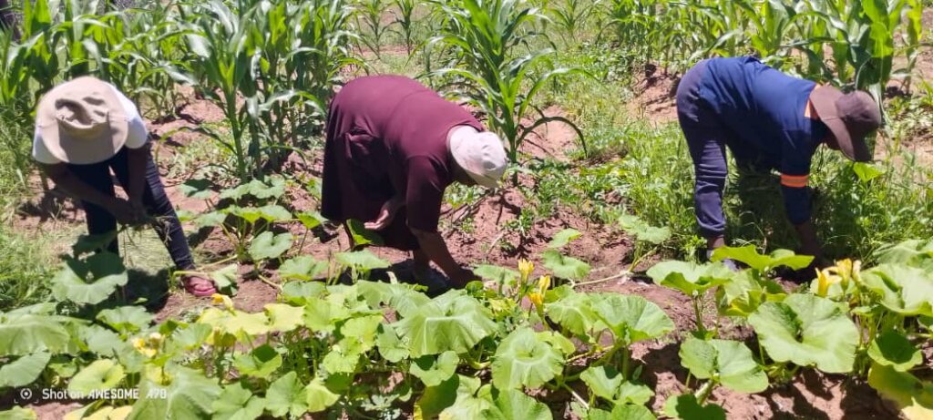 Permaculture awareness for 1000 women in a year