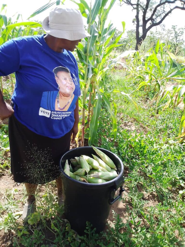 Permaculture awareness for 1000 women in a year