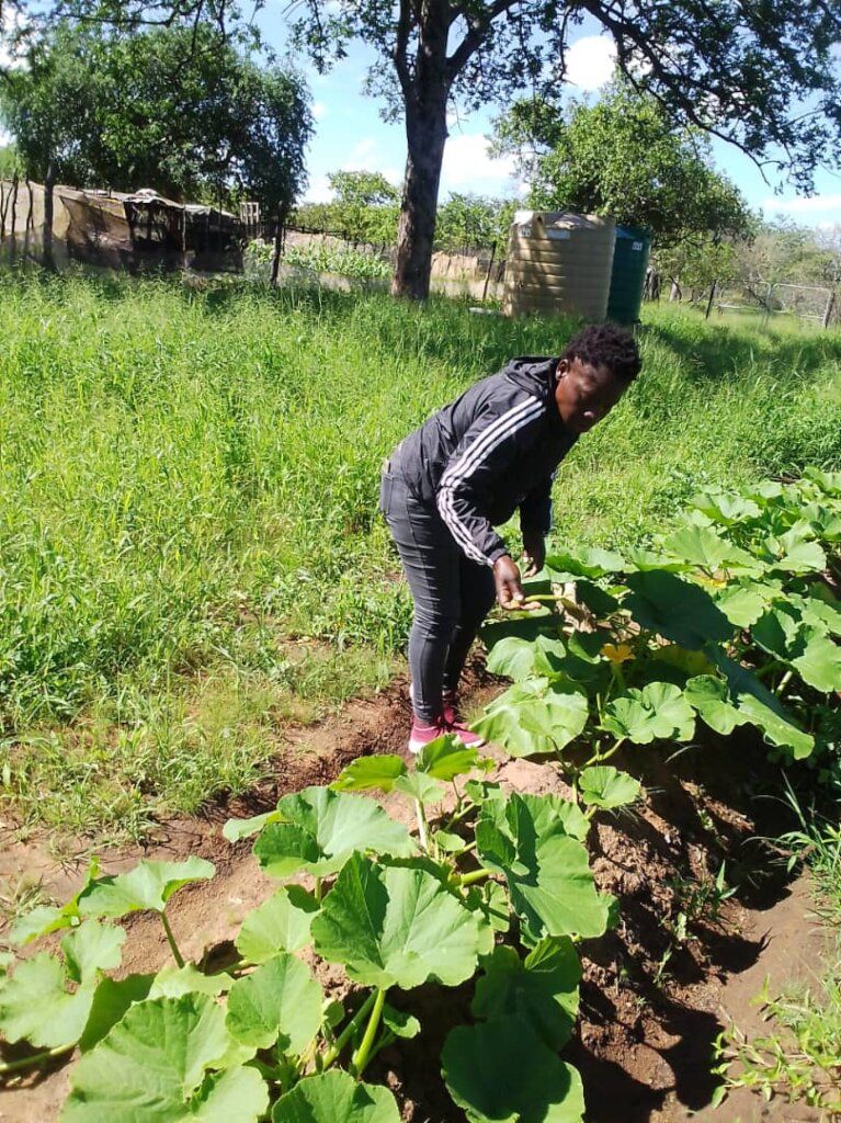 Permaculture awareness for 1000 women in a year