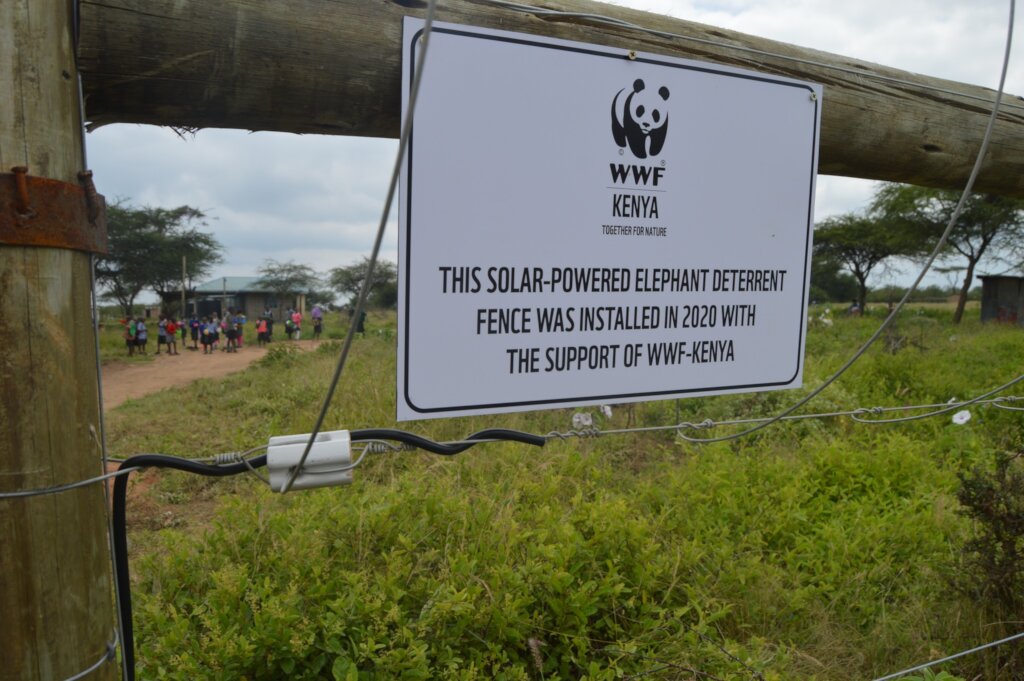 Help Prevent Human-Wildlife Conflict in Kenya