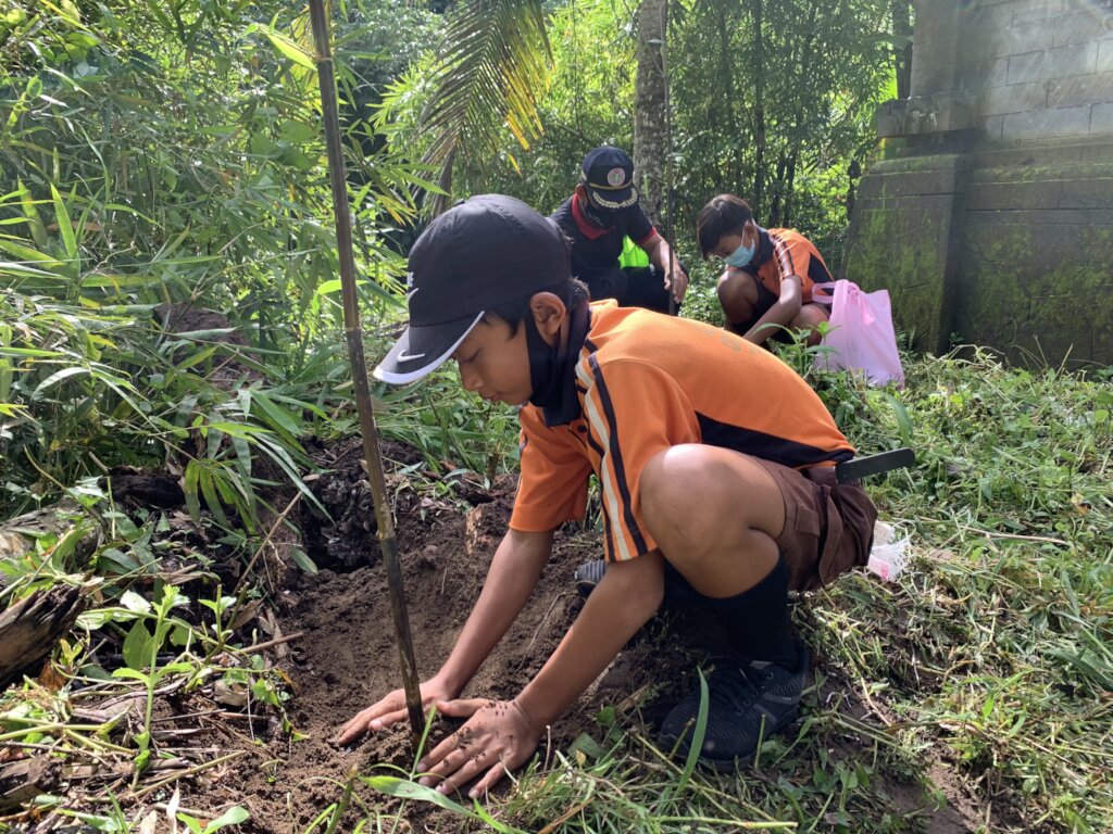 Involving students in tree planting activities